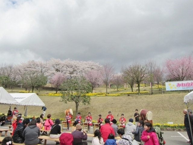 H27.4.11に行われてみねやま花まつり（東那須公園）<br><br>約１1万株の水仙の花と桜の咲き誇る中、地元のお囃子保存会のこどもたちや60歳以上のひとたちの創作ダンスが披露されたり、祭りでは地元婦人会によるとん汁が無料で配られたりと花と味覚を楽しみました。