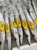 「魚魚市場鮮魚コーナーおすすめは「北海道産うに」です♪」