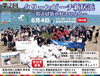 「6/4（土）開催！第２回クリーン・ビーチ ～拾えば街が好きになる～ あかがねポイント100ポイントプレゼント！」