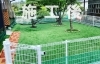 「ワンちゃん、夢のドッグラン完成！」