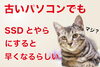 SSDというものが存在することに驚きを隠せない猫「古いパソコンのSSD交換を実施してみませんか？」