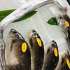 「魚魚市場鮮魚コーナーおすすめは「イサキ・タチウオ」です♪」