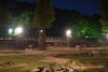 「夜の動物園の開催について」