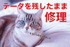 きめ顔の猫「大切なデータは取り残したまま修理」