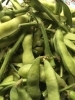 たわわに実った弥彦むすめ♪「新潟初夏の味☆彡 」