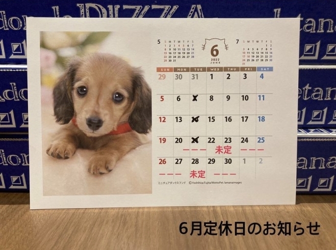 「６月の定休日」