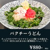 「パクチーうどん」