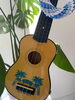 ウクレレ教室「橿原市ウクレレ教室開講です！未経験者さん、初心者さん向け。生徒募集中Luana hula studio橿原市白橿町」