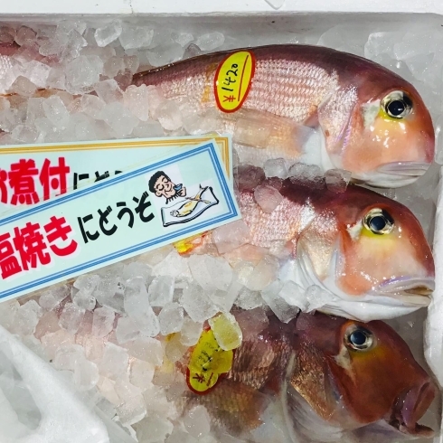「魚魚市場鮮魚コーナーおすすめ商品は「アマダイ・アジ」です♪」