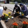 商工会女性部で小学校南側の花壇を整備しました