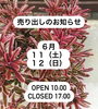 お待ちしています♫「【6月】売り出しのお知らせ」