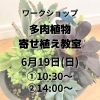 多肉植物寄せ植え教室 6月イベント 千葉建設株式会社のニュース まいぷれ 花巻 北上 一関 奥州