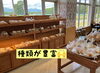 「種類が豊富です 【石狩のパン屋 こむぎっこ】」