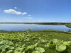 風景「美しい標茶町のシラルトロ湖♪」