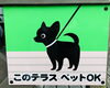 「犬と一緒にランチ！犬と一緒にカフェ！が出来るお店です【上松町　絶景テラス　ドライブイン！お土産】」