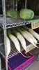 キャベツ、大根「人気の朝採れ新鮮野菜！八王子産 野菜販売中！ おかどやさんのからあげお弁当も販売中！ユーロードで陶器市もやってます。いんげん、大根、キャベツ、ズッキーニ、サニーレタス、モロヘイヤ CAFE カフェ ひとやすみ」