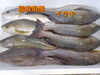 「❗金曜日恒例❗お惣菜もあります❗」