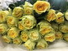 「お父さんも笑顔にします！父の日フラワーギフト承り中【恵庭/花屋/花一/花束/エアプランツ/フラワーアレンジメント/恵庭配達】」