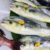 「魚魚市場鮮魚コーナーおすすめ商品は「本ガツオ・ビンチョウマグロ」です」