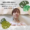 「梅雨の時期の腸活は？　岡山市　リラクゼーションサロン」