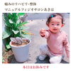 「新潟市秋葉区で首肩こりの治療はお任せを♪【新津の理学療法士によるリハビリ整体】」