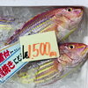 「魚魚市場鮮魚コーナーおすすめは「本ガツオのたたき・いわし」です♪」