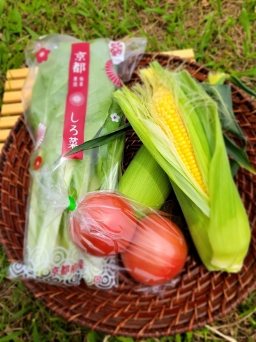 豆腐とこちらの野菜プラスおまけ野菜付き(^-^)/「絶賛発売中＼(^^)／大原野のおいしい初夏のお野菜と冷奴セットHP にて販売中(^-^)/《西京区　大原野　おいしい野菜　豆腐セット》」