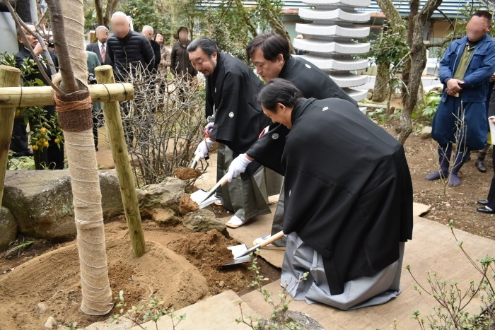 前進座「佐倉義民伝」出演者による記念植樹