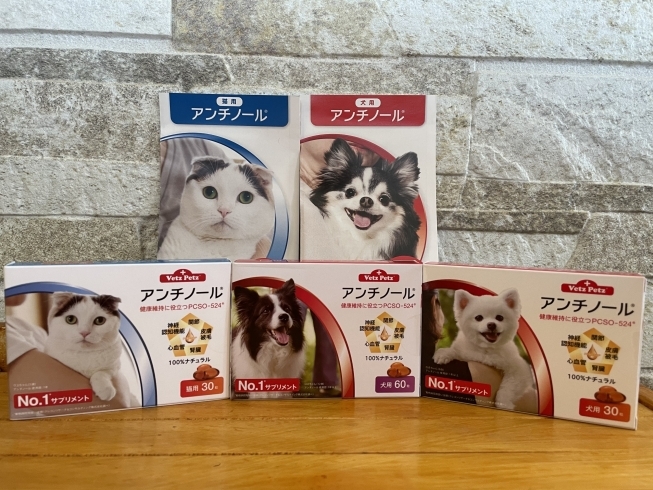 アンチノール（猫用・犬用)「みなさん『アンチノール』知っていますか？【石狩市花川ルル動物病院】」