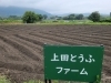 上田とうふファーム、大豆播種後＼(^^)／「上田とうふファーム(^-^)/《西京区　大原野　大豆栽培》」
