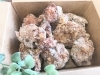 「ヤンニョムチキンやダージーパイはLINE注文がおすすめ！」
