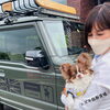 看板犬とダムドジムニー「ダムド公認特約店✨」