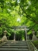 大原野神社、夏越の大祓にあわせて振る舞いとうふ!は「6/30(木)夏越豆腐振る舞いのご案内(^-^)/ 《京都 西京区 大原野神社 夏越の大祓 茅の輪 振る舞い豆腐》」