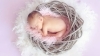 赤ちゃんはすでに今世のテーマをほぼ決めています「予定外の妊娠。赤ちゃんの過去生。[米子占い]」