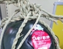 【2022年】すいか！スイカ！西瓜！water melon！今年、やおもり果実専門店は超厳選すいかを販売します！