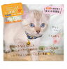 保護猫シャムMIXのきなこちゃん「✿6/26譲渡会参加猫情報！✿ 譲渡会/犬猫譲渡会/保護犬/保護猫/シャム猫MIX/きなこちゃん」