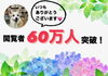 「まいぷれ福島区をご覧いただいた方が60万人を突破しました！！！」
