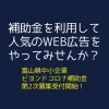 補助金を利用して、人気のWEB広告をやってみせんか？