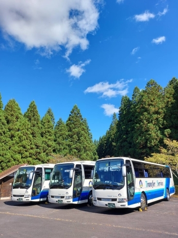 「ドライバー募集しています　　【水戸　求人】」