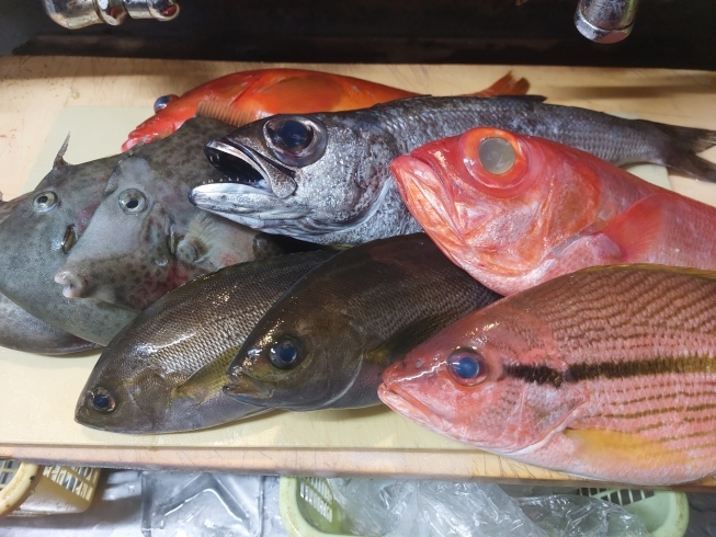 魚「カワハギ、金目鯛、黒ムツ」