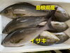 「金曜日恒例❗お刺身&お惣菜❗」