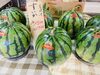 香りと旨味が口いっぱいに広がります！「スイカ入荷しています！【宮崎市清武の青果店】」