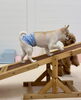 絆くん。いがいなほどスタスタ歩きます。スゴイね。「ましゅまろ幼稚園🐾」