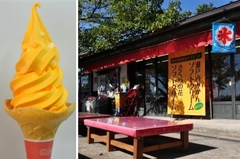 千光寺公園頂上売店の名物”瀬戸内みかんソフトクリーム”