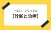 「イエローフラッグ④【診断と治療】【腰痛・坐骨神経痛・整体・那須塩原・大田原】」