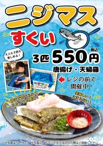 ニジマスすくいにチャレンジ 所沢に海 魚釣りができる居酒屋ざうお所沢店 イベント ニジマスすくい お子様 屋内施設 釣って食べる 大人も楽しい 個室 無料駐車場 親子で楽しい 活魚 船の上 席から魚釣り 釣船茶屋ざうお所沢店のニュース まいぷれ 所沢市