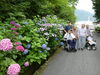 色とりどりの紫陽花に笑顔。後ろは新見市街地「紫陽花を見に外出しました。」