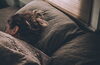 「早く寝ることはダイエットに効果的」