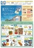 チラシ表面「『夏の住まいづくりフェア』開催中！」