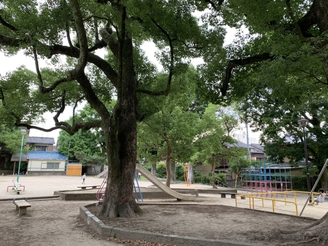 広場が大きい公園です。「◇子連れお出かけスポット情報◇〜藤の森公園〜」